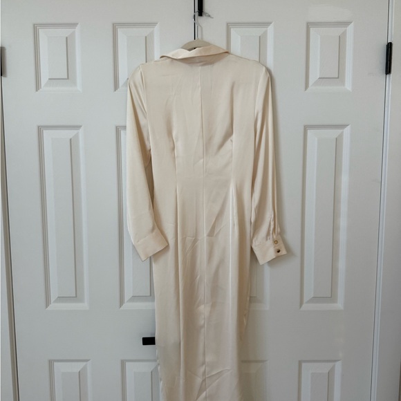 Zara button down dress - Picture 4 of 4